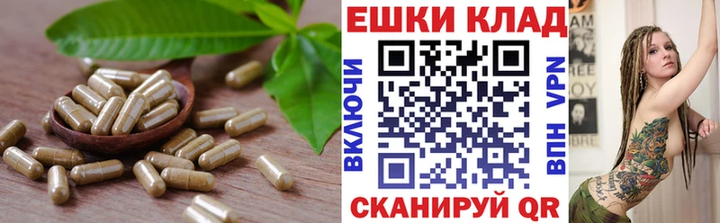 хочу   Фокино  ЭКСТАЗИ ешки 